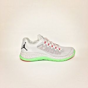 Air Jordan Flight Runner II  “Grey Mist”